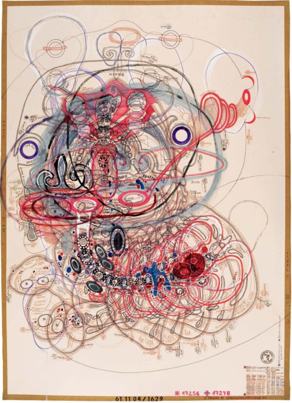 PLNY.Lubos.sans ref.D