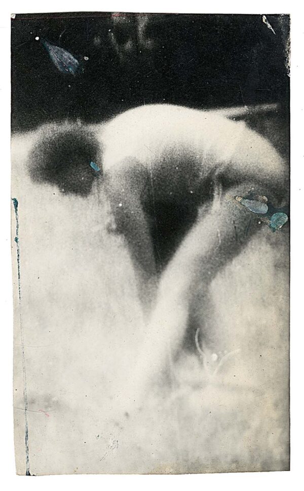 TICHY.Miroslav.sans ref.D