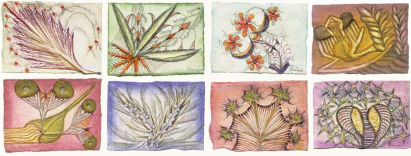 ZEMANKOVA.Anna.0818 à 1825