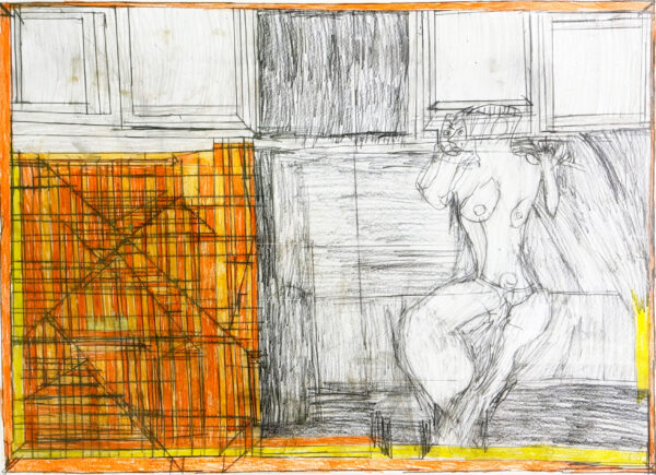HOFER Josef. Sans titre. 2009. Mine de plomb et crayon de couleur sur papier 44 x 60 cm